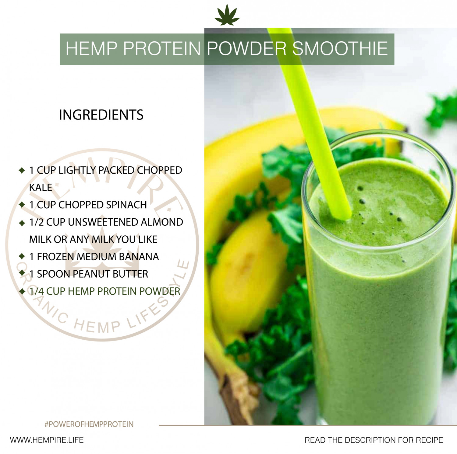 Hemp Protein Powder Smoothie